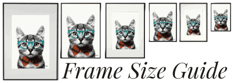 Frame Sizes Mini