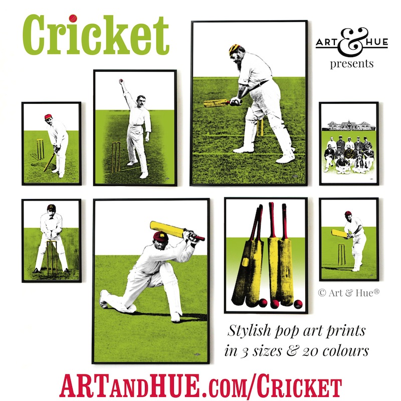 Art & Hue presents Cricket stylish pop art prints