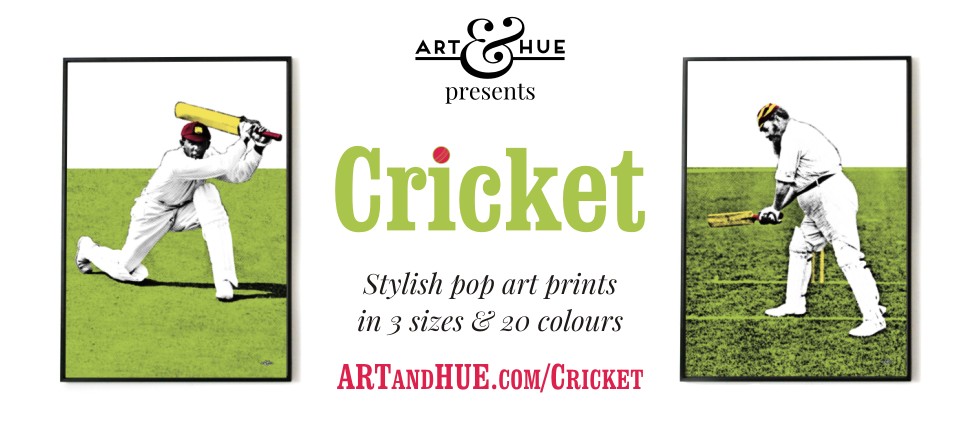 Art & Hue presents Cricket stylish pop art prints