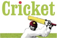 Cricket Art Prints